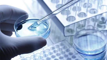 擎科生物 深耕基因合成全產業鏈，賦能生物科技研發創新